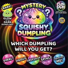Load image into Gallery viewer, Mystery Dumpling Squishies fidget- PRE ORDER- DUE JUNE 5