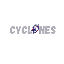 Load image into Gallery viewer, Next level crop tank- cyclones- white
