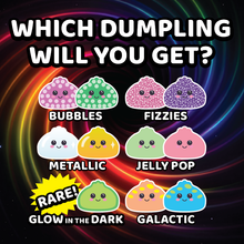 Load image into Gallery viewer, Mystery Dumpling Squishies fidget- PRE ORDER- DUE JUNE 5
