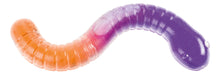 Load image into Gallery viewer, Slimy Worm Stretchy Squishy Toy fidget
