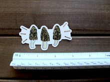 Load image into Gallery viewer, Small Morel Mushroom Sticker
